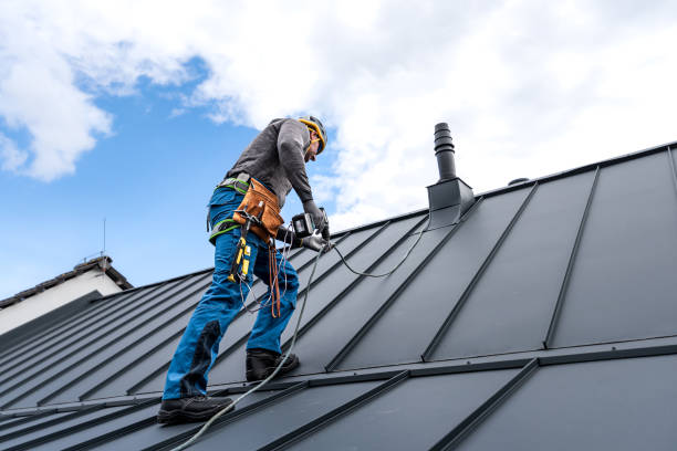 Fast & Reliable Emergency Roof Repairs in Ludowici, GA